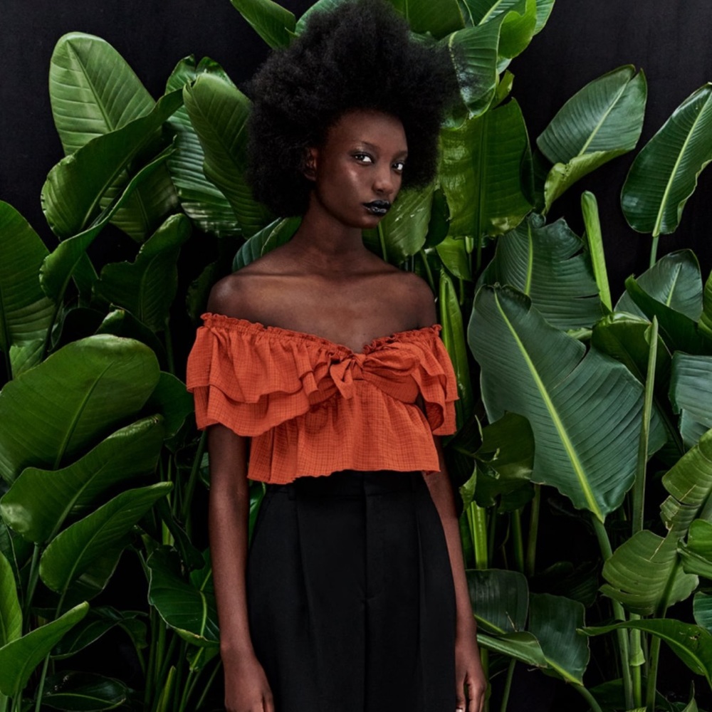 ZARA Off Shoulder Top with Frill Details